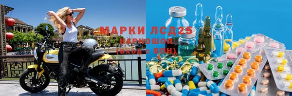 СК Абинск