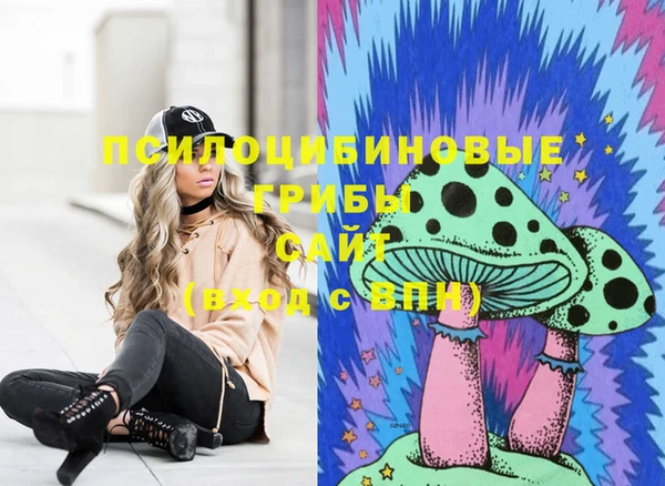 гидропоника Алзамай