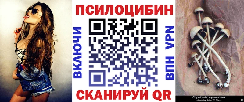 Галлюциногенные грибы Psilocybe  Злынка 